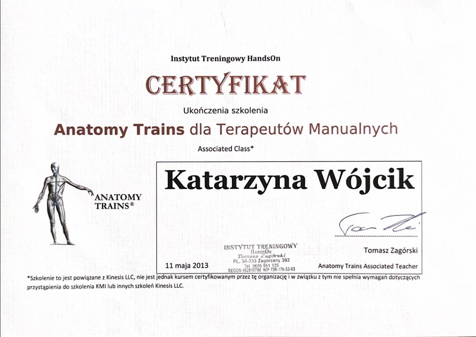 anatomy trains