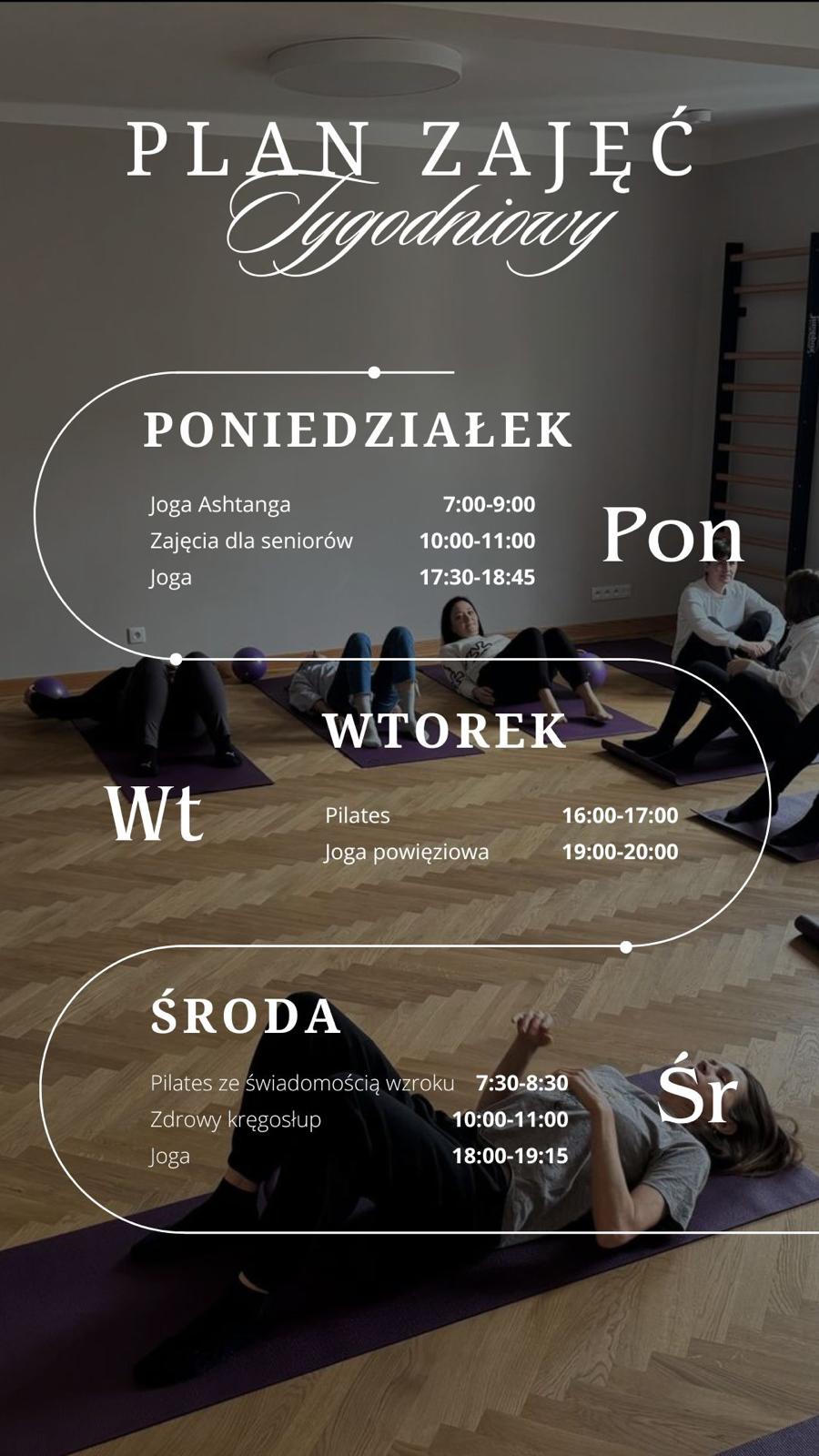 Plan Zajęć W Dobrych Rękach