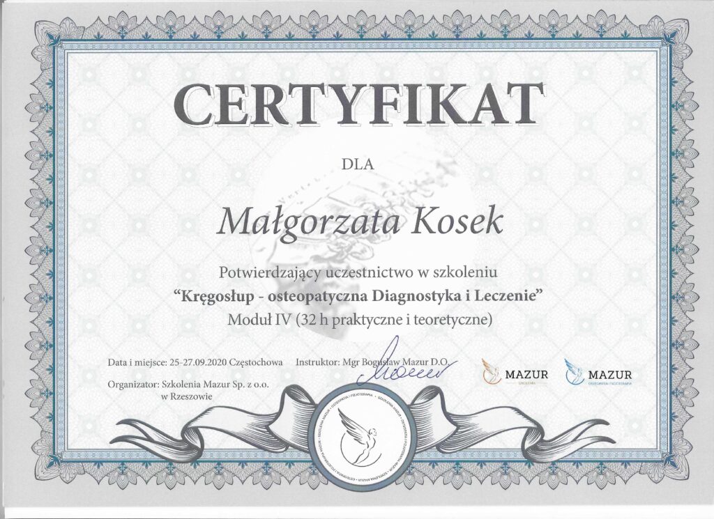 Kręgosłup - Osteopatyczna Diagnostyka i Leczenie IV
