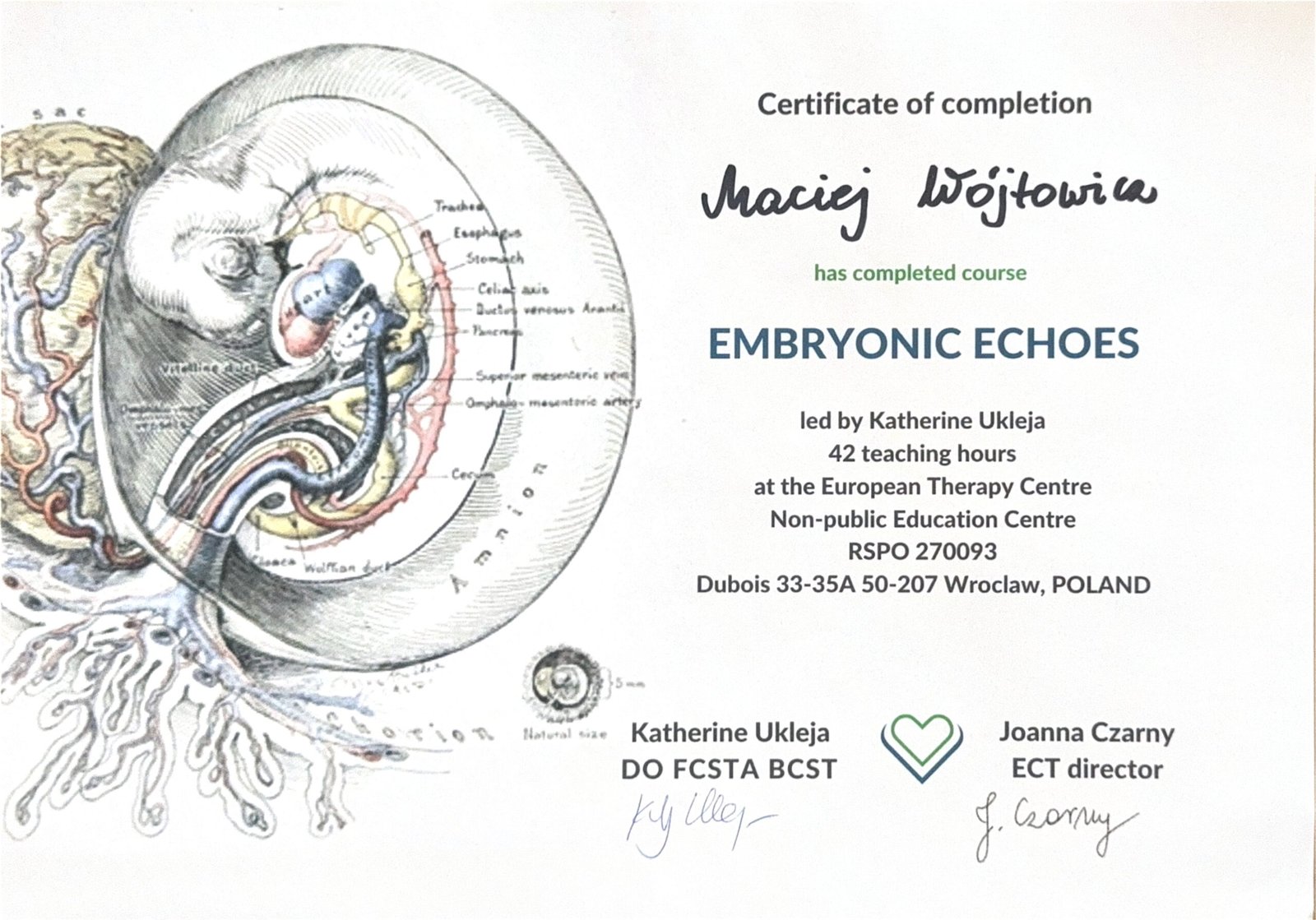 Embryonic Echoes